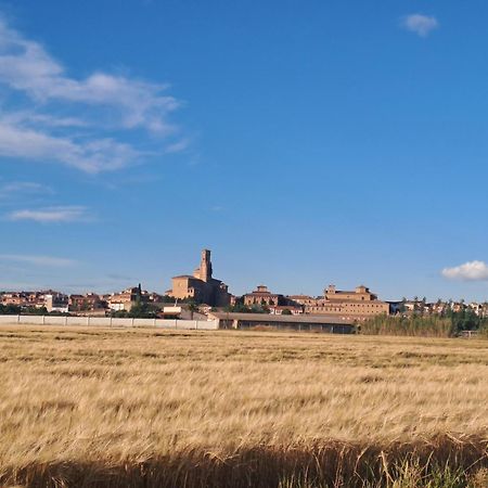 Apartamento Rural Las Canas Esencia De Bardenas Villafranca Buitenkant foto