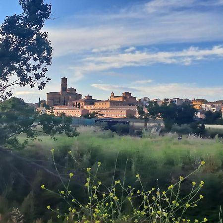 Apartamento Rural Las Canas Esencia De Bardenas Villafranca Buitenkant foto