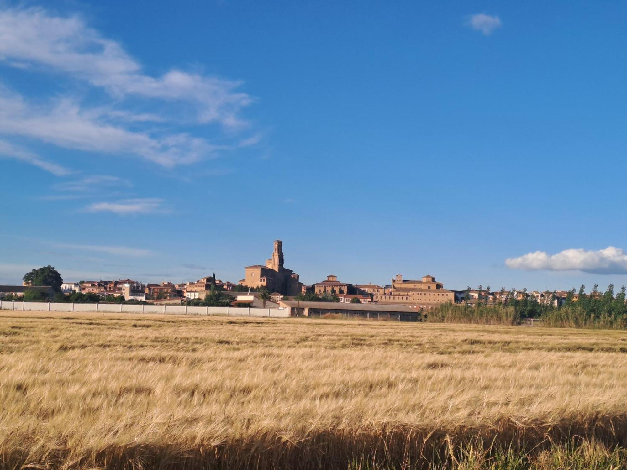 Apartamento Rural Las Canas Esencia De Bardenas Villafranca Buitenkant foto