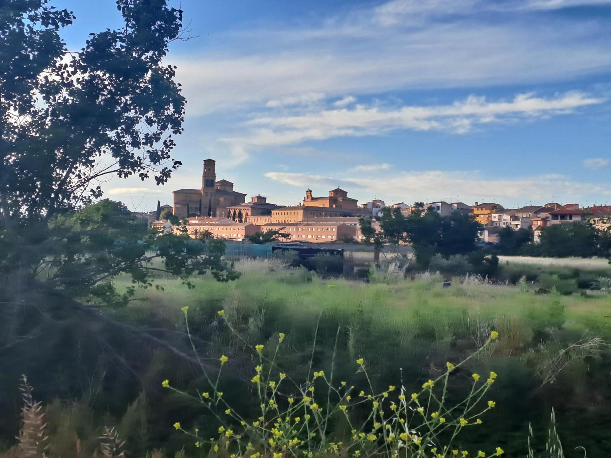 Apartamento Rural Las Canas Esencia De Bardenas Villafranca Buitenkant foto